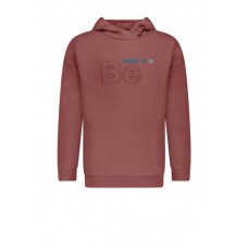 Hooded sweater B209-4305